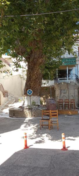 Tania's House